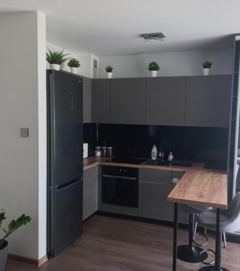 Apartament Plater Apartment Pruszcz Gdanski ภายนอก รูปภาพ