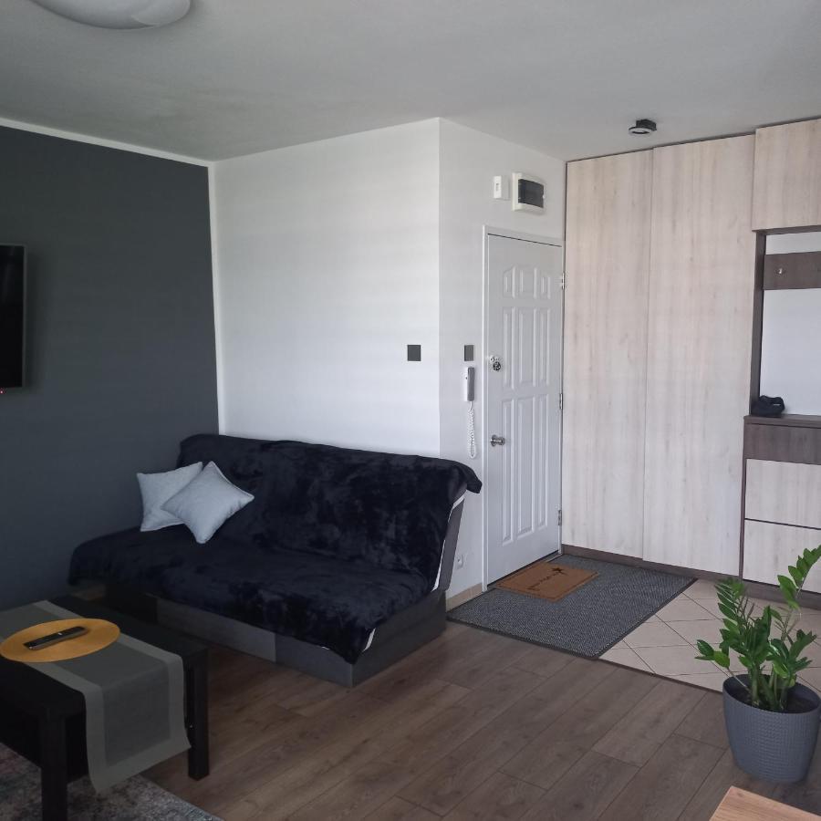 Apartament Plater Apartment Pruszcz Gdanski ภายนอก รูปภาพ