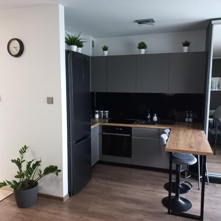 Apartament Plater Apartment Pruszcz Gdanski ภายนอก รูปภาพ