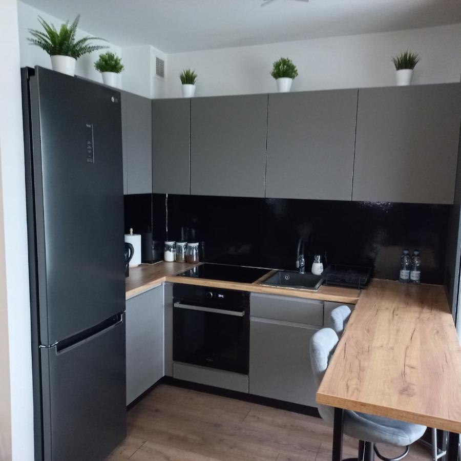 Apartament Plater Apartment Pruszcz Gdanski ภายนอก รูปภาพ